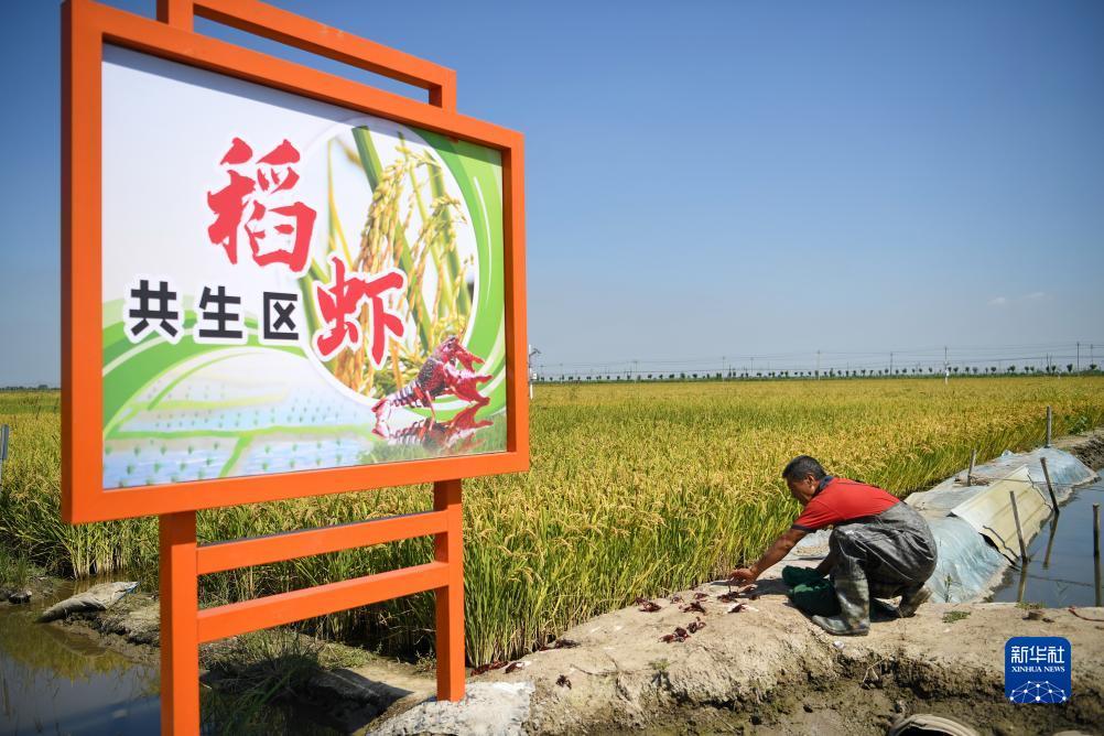 亚泰88c客户端下载